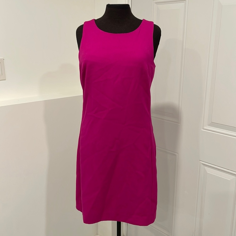 Pink Dress - Picture 1 of 4
